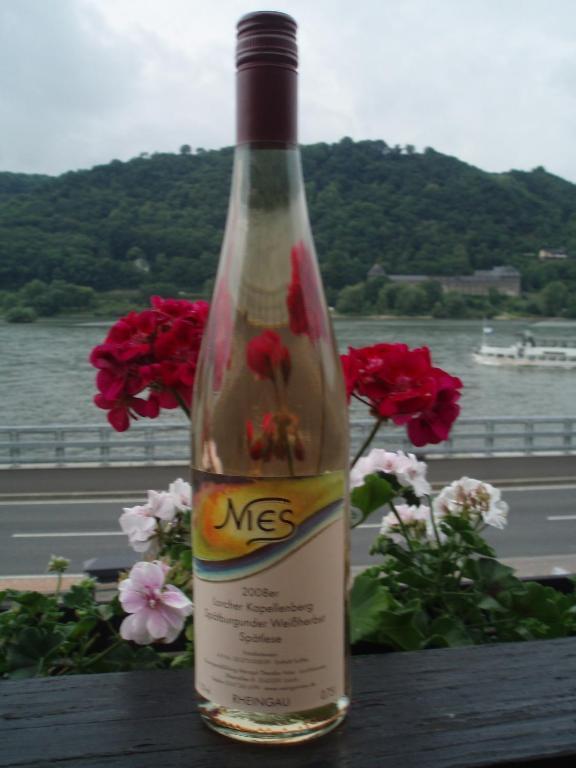 Weingut Theodor Nies Lägenhet Lorch am Rhein Exteriör bild