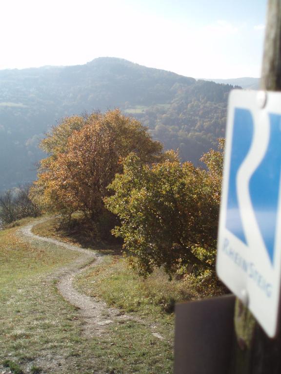 Weingut Theodor Nies Lägenhet Lorch am Rhein Exteriör bild
