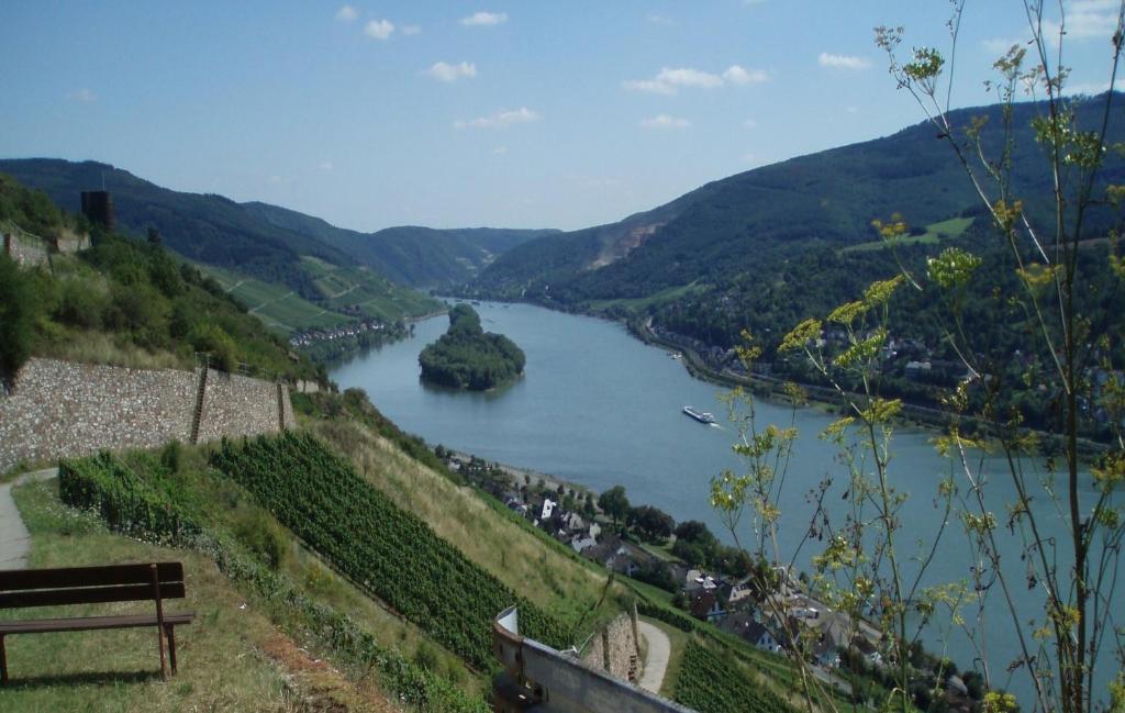 Weingut Theodor Nies Lägenhet Lorch am Rhein Exteriör bild