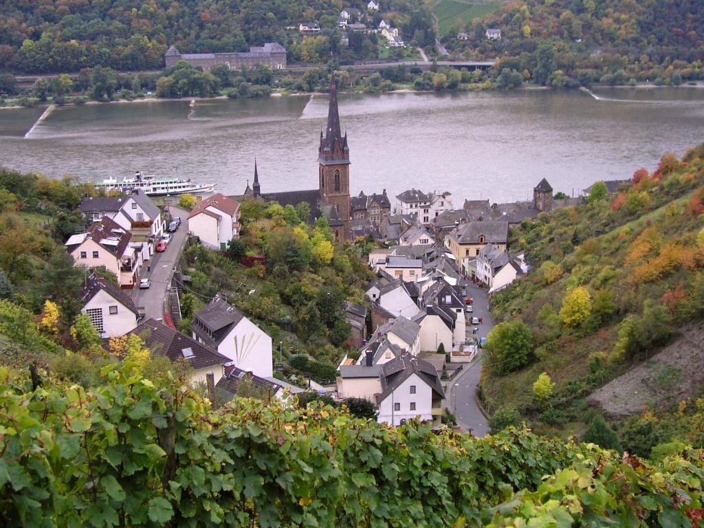 Weingut Theodor Nies Lägenhet Lorch am Rhein Exteriör bild